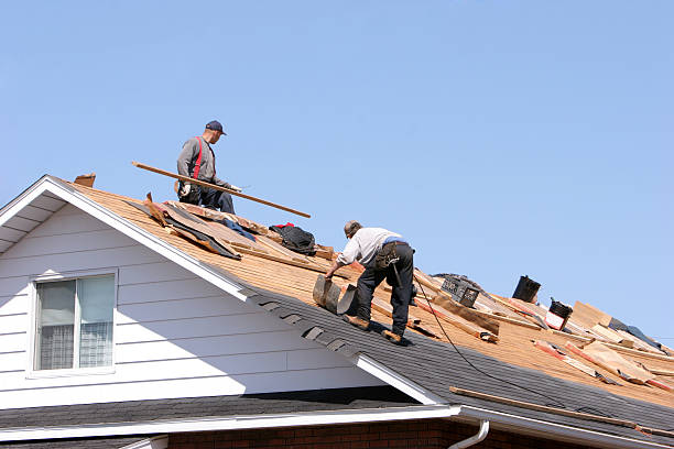 Best Tile Roofing Installation  in Loma, CO